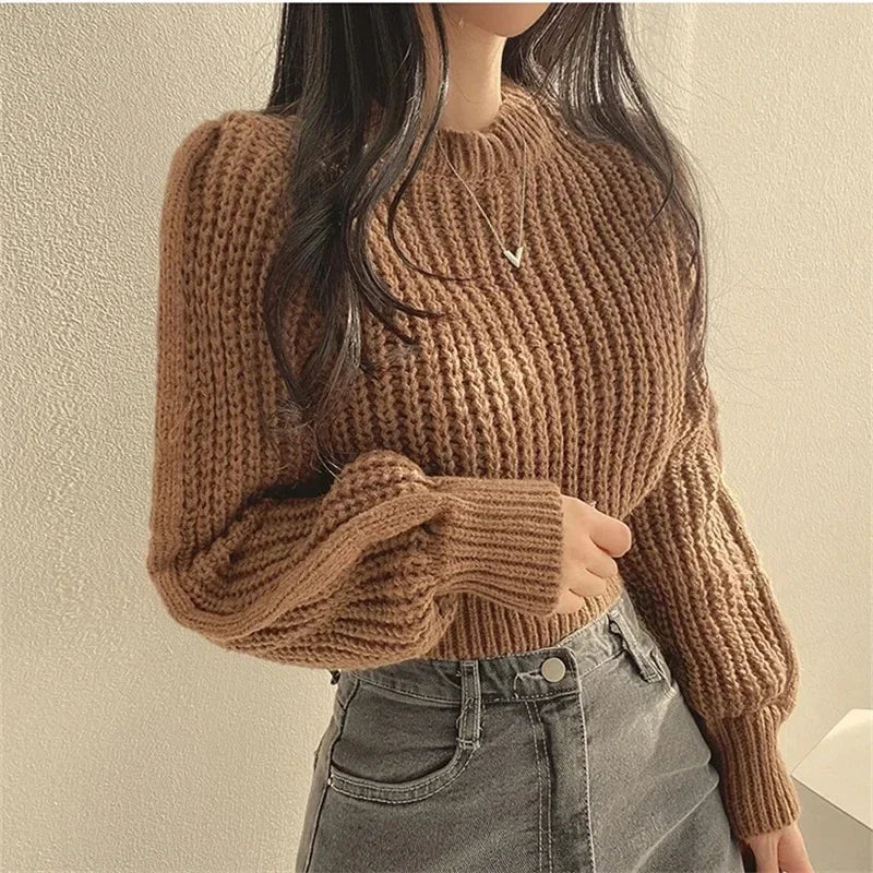 Vintage Cropped Sweater Women Lantern