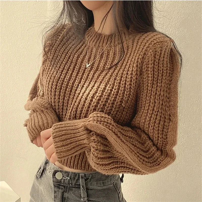 Vintage Cropped Sweater Women Lantern